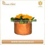 Paper Plant Pot Bag Brown Kraft Paper Planter Pot thumbnail-2