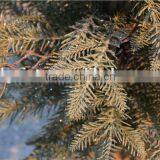 Long Branches Christmas Indoor Ornament Small Decorative Otted Pine Tree thumbnail-3