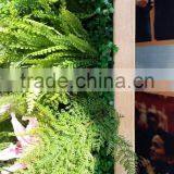 Made in China Grass Flower Wall Artificial Plants Wall for Garden and Interior Decoration thumbnail-4