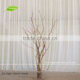 GNW WTR1606002 Artificial Winter Tree Wholesale for Wedding Centerpiece