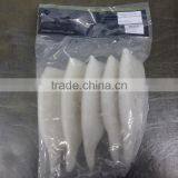 IQF U5 Pacific Squid Tube thumbnail-1