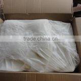 Frozen Giant Squid Fillet