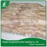 Frozen Bonito Tuna Loin (sarda Sarda) thumbnail-1