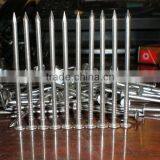 Stainless Steel Construction Nails thumbnail-1