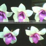 PROTE Asola Flower thumbnail-1