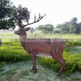 Red Deer Stag thumbnail-5