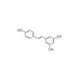 Giant Knotweed Extract/Resveratrol thumbnail-2