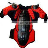 Protector 1343