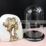 Glass Display Cloche Bell Jar Dome Flower Immortal Preservation Vase Wooden Base