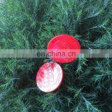 SGS Printing the Logo Shopping Trolley Plastic PS Fruit Coins thumbnail-2