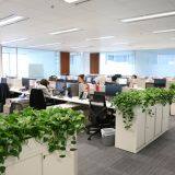 Bearing Trade Kingdoom company overview - view 1 thumbnail