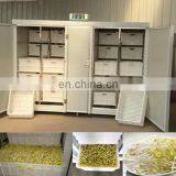 Автоматическая машина для проращивания бобов. Семена пшеничной травы. Мини-машина для проращивания семян