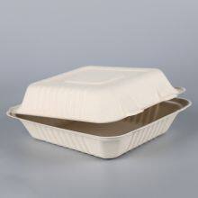 Biodegradable 8*8 Take Away Sugarcane Container