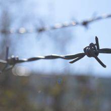 Galvanized Barbed Wire Field Fence Farm Fence Cattle Fence Field Fence Grassland Fence