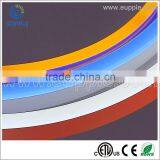 Best Price!!!!UL Cul Etl CE RoHS Wholesale Price Color Changing Led Neon Tubes thumbnail-3