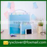 Plastic Clear Cover Expandable Handle Folder With 12 Pockets thumbnail-1
