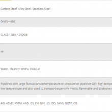 LOOSE FLANGE thumbnail-2
