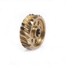 Electric Gate Worm, and Worm Gearbox for Electric Vehicles