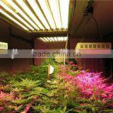 CE RoHS High Quality 7W 9W 12W 24w 36w PAR38 LED Grow Lights Hydroponic Aquarium LED Grow Light