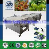 Industrial Sea Buckthorn Sorting Inspection Grading Machine