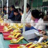 Shantou Chengguo Trading Co., Ltd. company overview - view 3 thumbnail