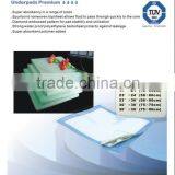 Absorbent Underpad thumbnail-1