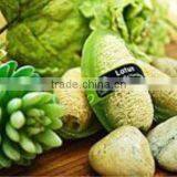 Handmade Soap - Natural Spa Fruit Soap Loofah Lotus Soap