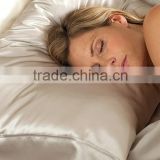 Luxury 100% Silk Pillow Shell and 100% Grade 4A Silk Floss Filled Pillows