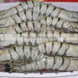 Frozen HOSO Black Tiger Shrimps ( P Monodon ) thumbnail-1