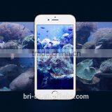 2016 New Premium Best Cell Phone Screen Protector Reviews for Iphone 6s
