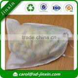 Inflatable Banana Sleeping Bag/banana Protection Bag/protect Bag for Banana in Best Selling Items thumbnail-3