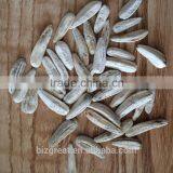 Supply Chinese Roasted Salted White Sunflower Seeds With Good Quality For Sales