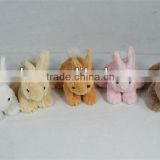 Cute animal easter rabbits