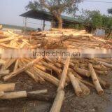 Wood Core Veneer Eucalyptus/acacia From Vietnam thumbnail-6