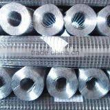 ss Welded Wire Mesh