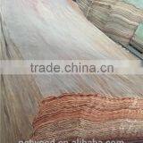 4*8 Veneer/gurjan Veneer/recon Veneer for Plywood thumbnail-2