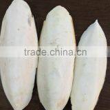 Hai Piao Xiao High Quality Dried Cuttlefish Bone thumbnail-1