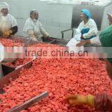 Frozen Carrot Dices thumbnail-3