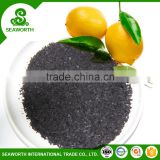 Modern organic seaweed extract agar for the world