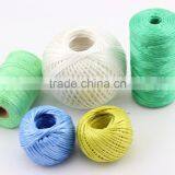 Colorful pp Baler Twine,string,pp Twine,string for Packing Vegetables thumbnail-4