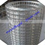 Galvanized 1/4 Inch Galvanized Welded Wire Mesh / Lowest Price Welded Wire Mesh thumbnail-3