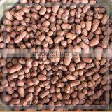 Year-around Culture Definitive Hydroponic Media Sure to Grow Planting Sponge&foam thumbnail-3