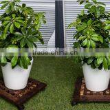 Modern Designwood Mat With Wheels for Your Flower Pot thumbnail-6