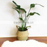 Nature Seagrass Belly Baskets/ Eco-friendly Seagrass Laundry Baskets