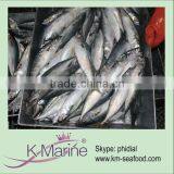 Cheap Prices of Frozen Mackerel Lot Number#kmw4038 thumbnail-1