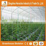 Heracles Economical Plastic Commercial Low Cost Multi Span Plastic Greenhouses With Automatic Irrigation System thumbnail-1