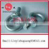 Best Quality And Cheaper Price Zinc Plated Din580 Eye Bolt thumbnail-1