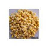 FD Maize thumbnail-1