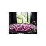 Distillation Plant For Rose Oil And Other Flowers thumbnail-3