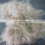 Hot Sale Dehaired Chinese Natural Brown Goat Cashmere Fibre With SGS thumbnail-1